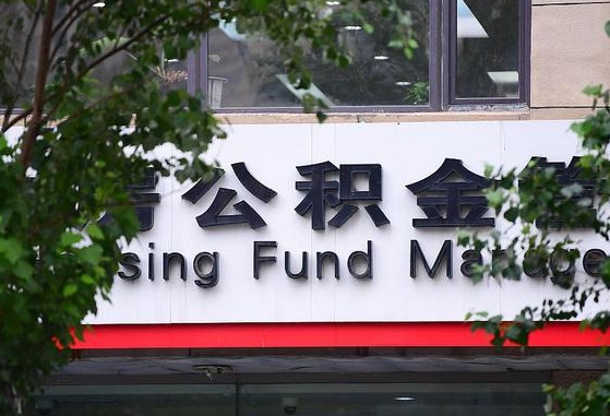 嘉鱼找人代取公积金8000可以取吗（嘉鱼公积金中心叫我把钱退回去）